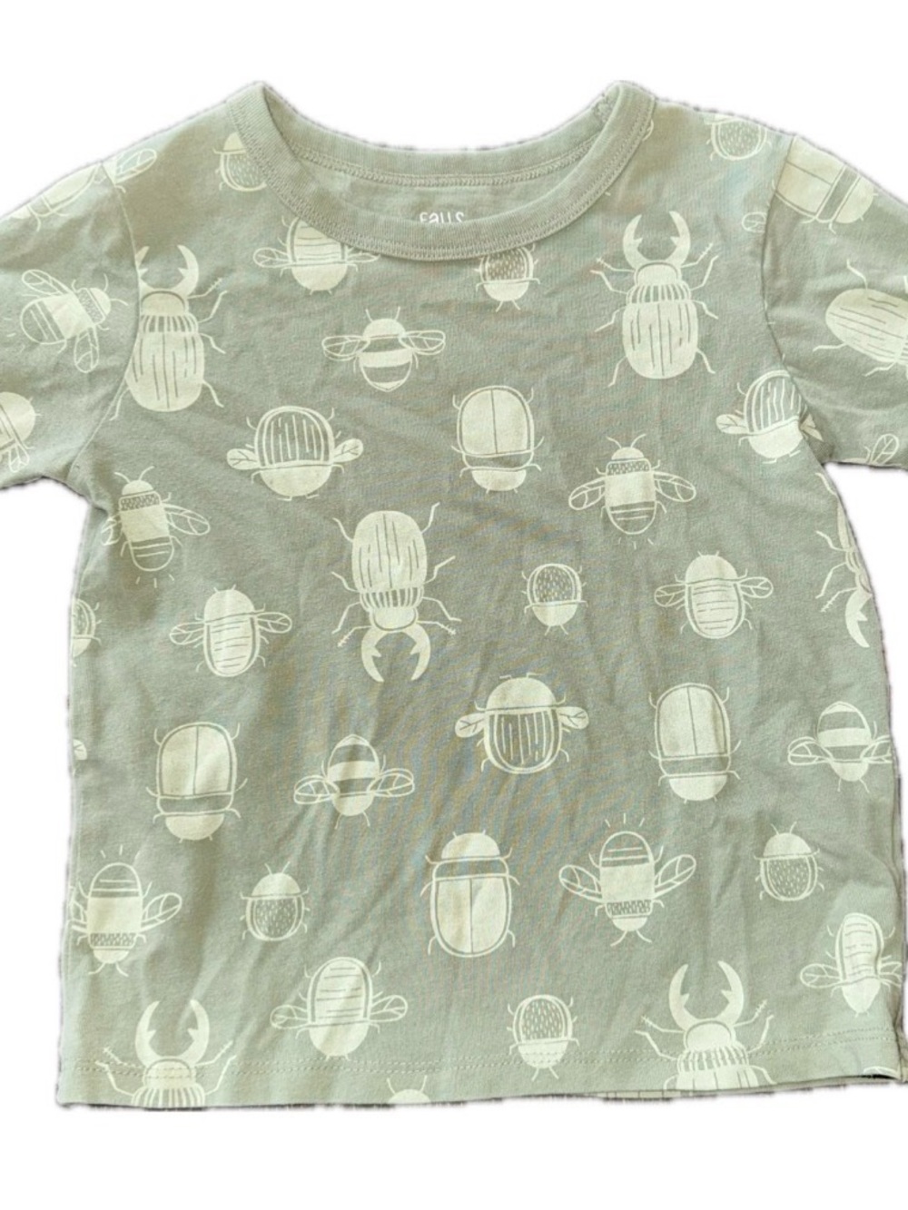 Falls Creek Green Beetle Print Short Sleeve Tee
